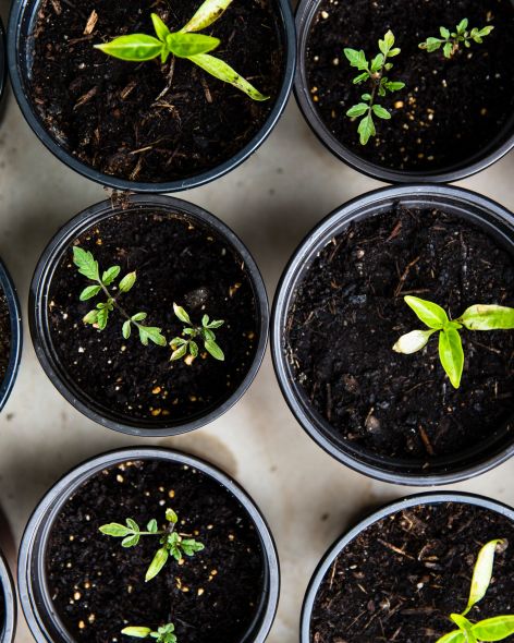 02d00dde-983b-463f-8cf5-c212006d784f-1