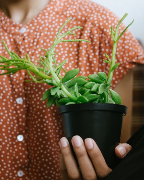 02d00dde-983b-463f-8cf5-c212006d784f-2