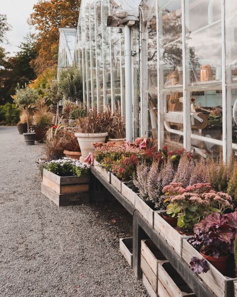 4d4a434a-20f2-41fd-8340-f9421bd545ad-1