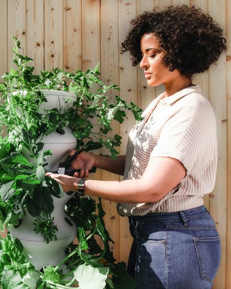 4d4a434a-20f2-41fd-8340-f9421bd545ad-2