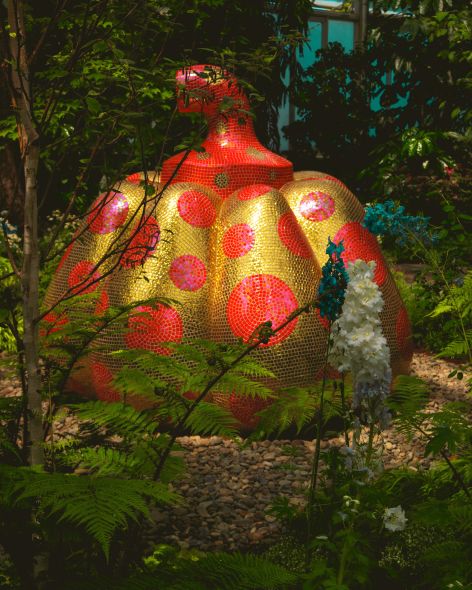 NYBG's Kusama: Cosmic Nature