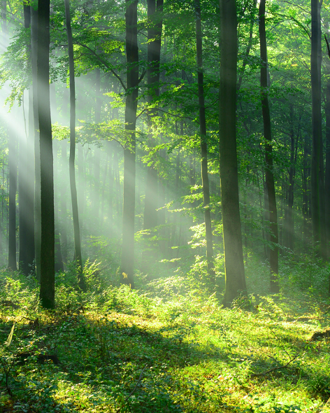 3438f880-e6b2-4824-a461-109038297cc3-1