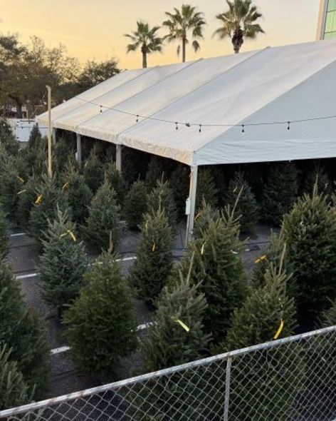 76ba511b-e715-4f87-9337-f8a6cdfaad6b-1