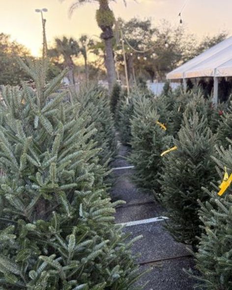 76ba511b-e715-4f87-9337-f8a6cdfaad6b-2