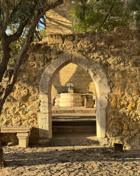 339a9bbd-1ed4-4304-9f02-b75048e8f2cb-2