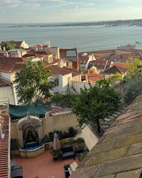 5483003f-3061-4568-85e5-4229fd61cdc0-1