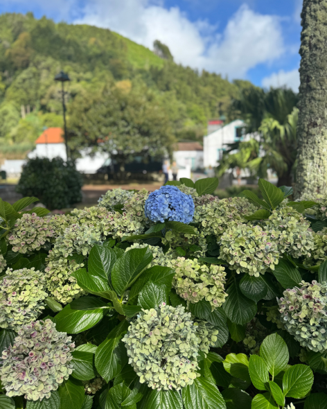 d5617e5c-d9f0-46b3-b6a2-8c6a9e128648-1