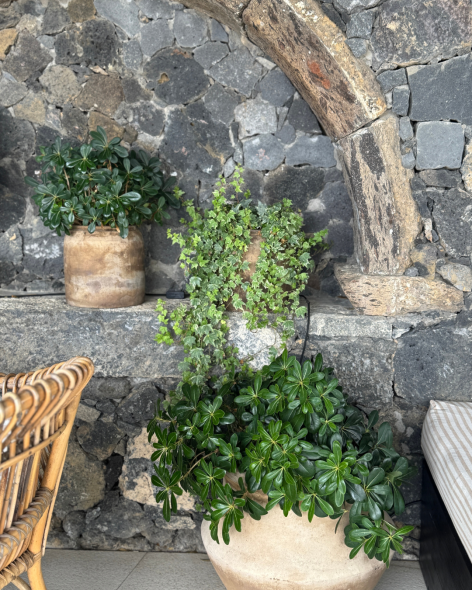 d5617e5c-d9f0-46b3-b6a2-8c6a9e128648-2