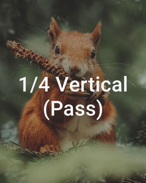 1f3428e3-08f8-4ddc-a0fe-81089f4516ef-1