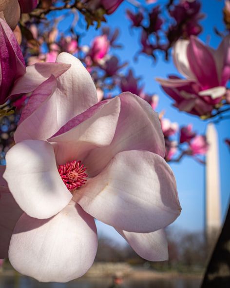 038fbb2e-757a-4673-9937-67902c488f40-1