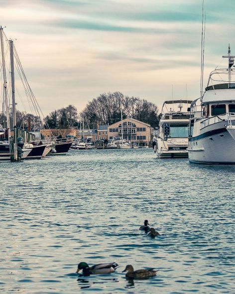 af857924-06db-4b5c-902d-2dd91952948c-2