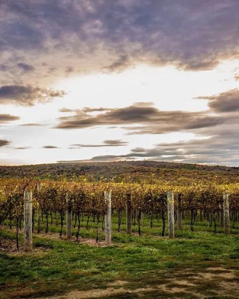 091bccdf-668a-4385-a808-7f4835703f4e-1