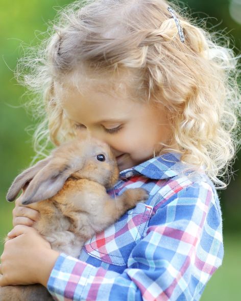 d893b454-f378-473c-8f0d-84750b18eef0-1