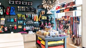 Copilot Dog Outfitters