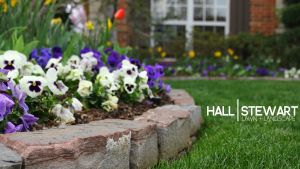 Hall Stewart Lawn & Landscape