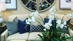 Diane Johnson Interiors