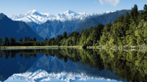 Family Wealth Advisory Group