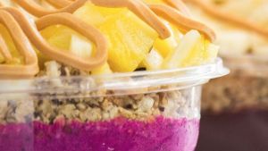 Frutta Bowls - Mason