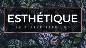 Esthétique by Elaine Sterling