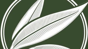 Willow Branch Landscapes