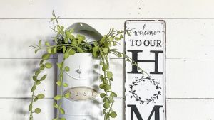 Interior Delights