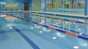 Goldfish Swim School - Franklin