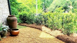 Flori-Bama Lawncare