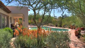 Cesar Mazier Landscaping & Consulting