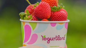 Yogurtland Fairfield