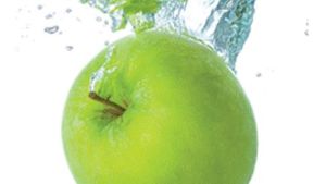 Carolina Nutrition Consultants, Inc.