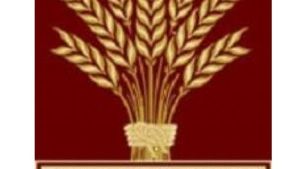 Wave The Grain