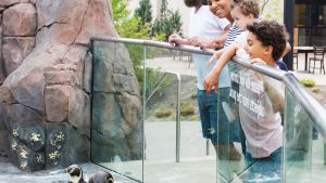 Kansas City Zoo