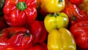 Overland Park Farmers' Market