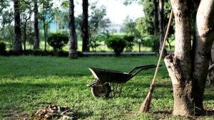 Neighborhood Gardener