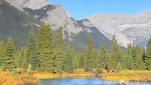 Headwaters Wealth Management