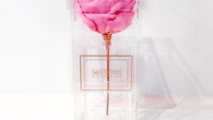 MFLEURS Nashville
