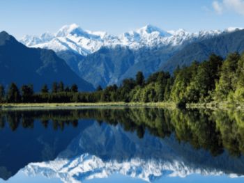 Family Wealth Advisory Group