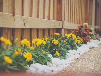 Atlanta Professional Landscaping