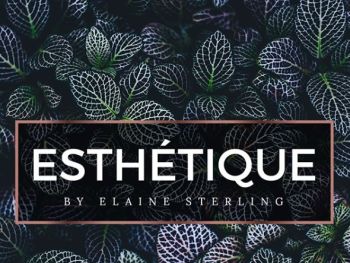 Esthétique by Elaine Sterling
