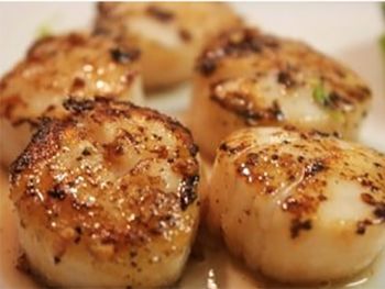Trestles Coastal Cuisine