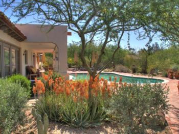 Cesar Mazier Landscaping & Consulting