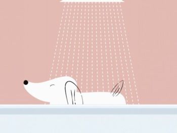 Dog's Day Out