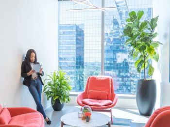 Serendipity Labs