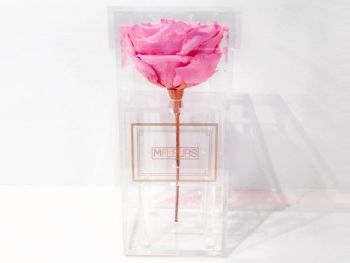 MFLEURS Nashville