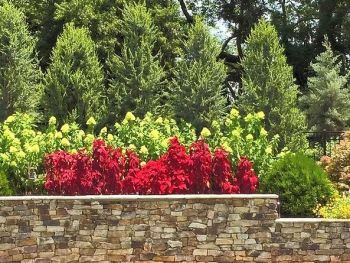 Opportunity Landscapes And Nursery
