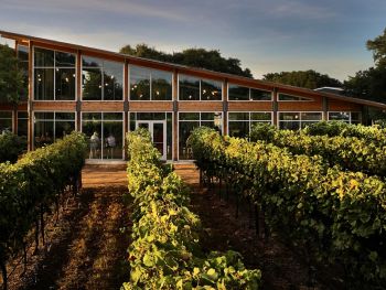 William Chris Vineyards