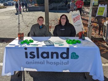 Island Animal Hospital
