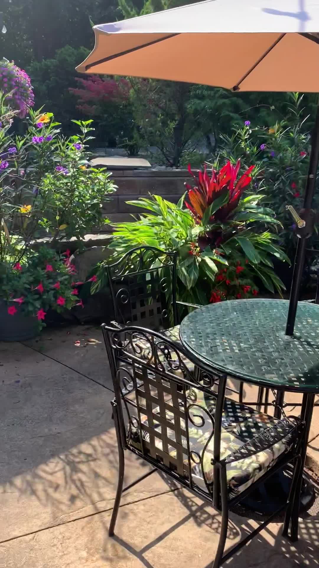 food near me patio on Our Patios Will Be Ready In June