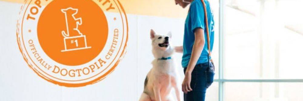 Banner image