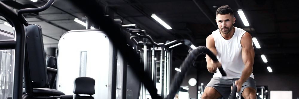 Banner image